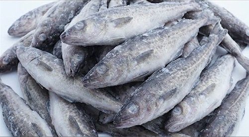 Alaska Pollock Fillets, Portions, and Processing Options