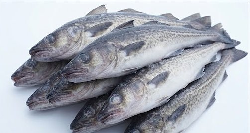 Alaska Pollock Specifications and Product Grades