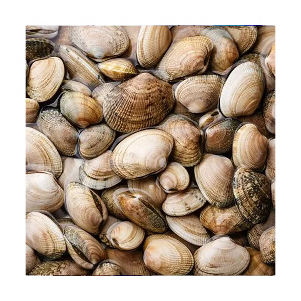 Bulk Clams Harvesting & Handling Standards