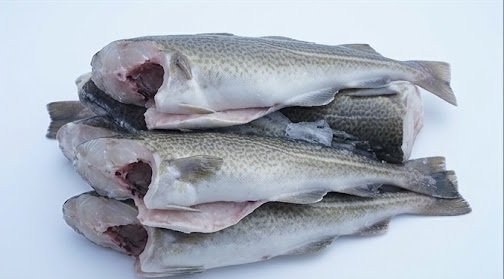 Bulk Cod Supply for Global Seafood Distribution