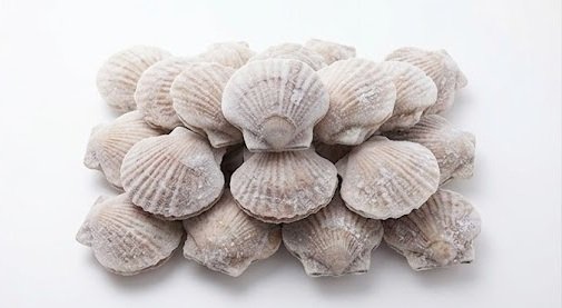 Bulk Sea Scallops