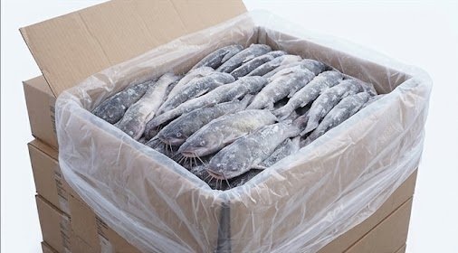 Catfish Fillets, Portions, and Commercial Processing