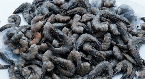 Frozen Shrimp Sizes, Cuts, and Product Specifications