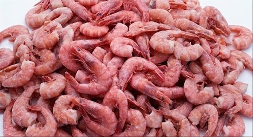 Frozen Shrimp Supply for Restaurants and Seafood Businesses