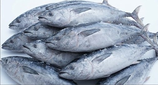 Frozen Tuna for Restaurants, Retailers, and Foodservice