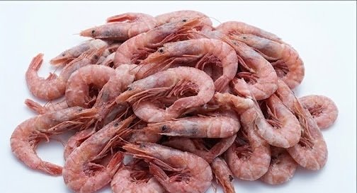Sourcing Wholesale Frozen Shrimp for Commercial Use