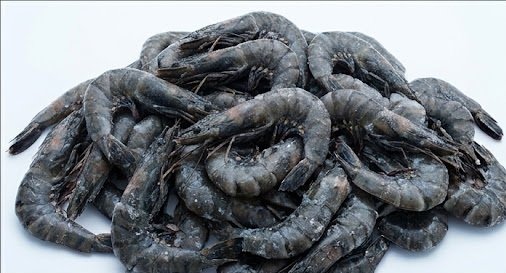 Wholesale Frozen Shrimp for Global Seafood Buyers