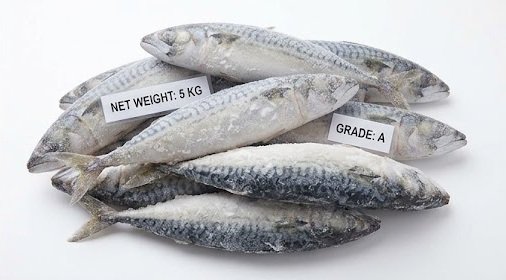 Wholesale Mackerel Grades & Size Ranges