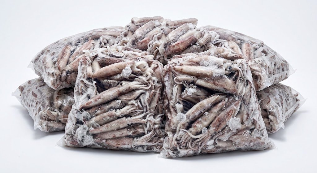 squid wholesale
